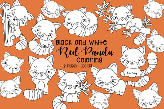 Black and White Red Panda Clipart - Cute Animal Clip Art