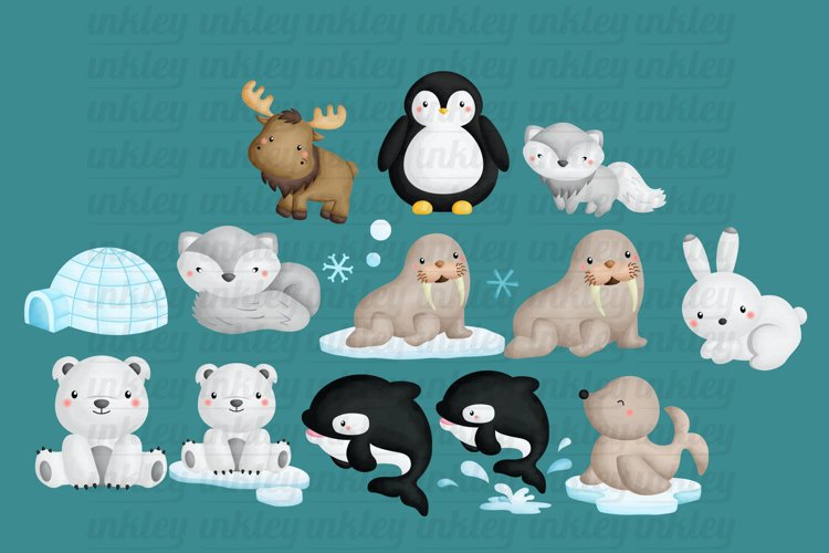 Watercolor Arctic Animal Clipart - Cute Animal