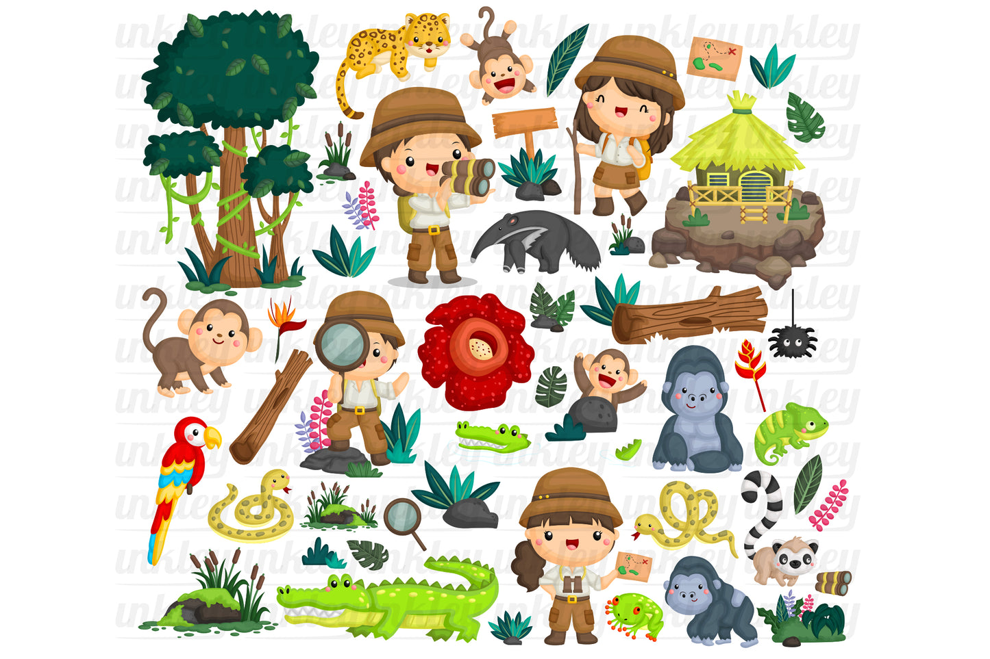 Rainforest Jungle Clipart - Explorer Clip Art