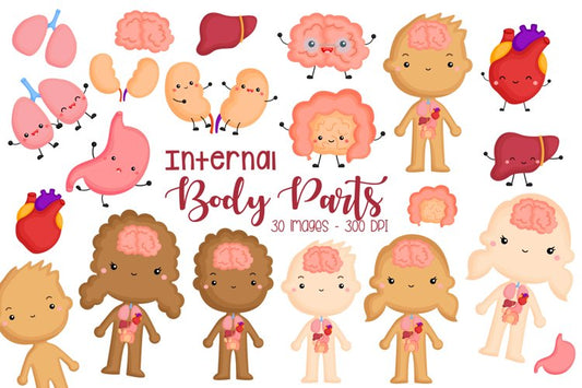 Internal Body Parts Clipart - School Clip Art