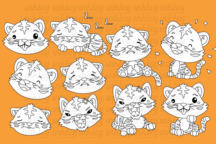 Black and White Emotional Tiger