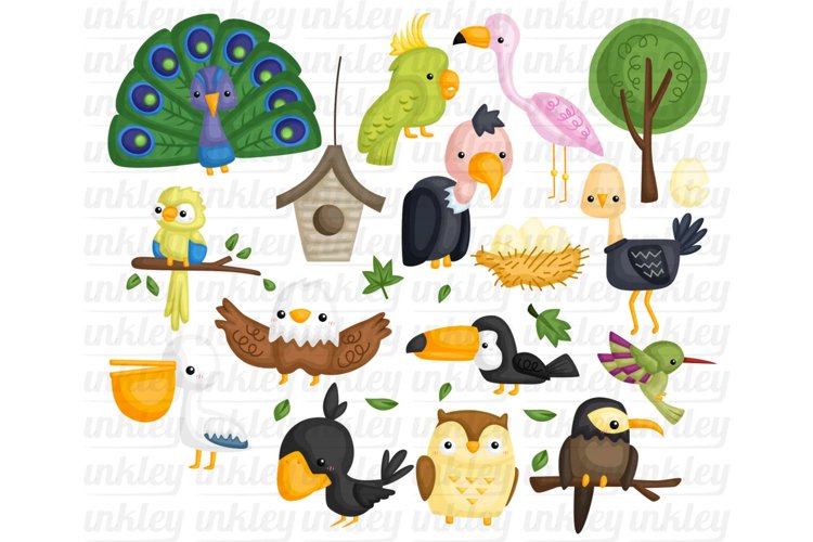 Bird Type Clipart - Cute Animal Clip Art