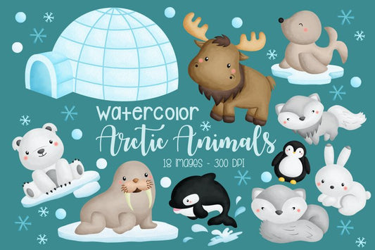 Watercolor Arctic Animal Clipart - Cute Animal