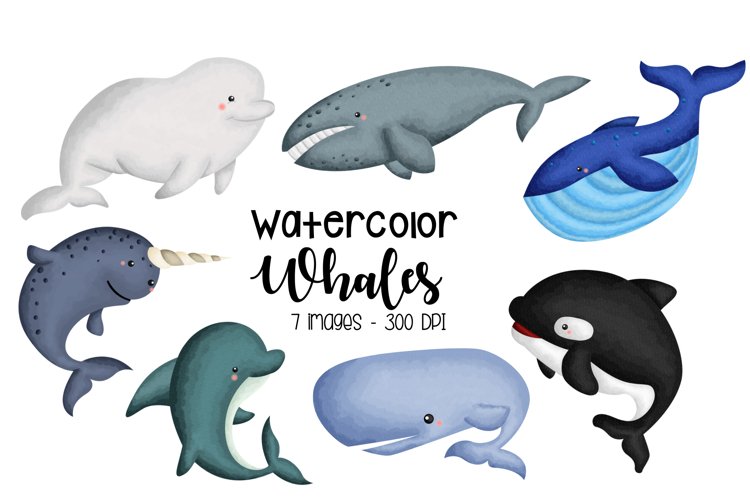 Watercolor Whale Type Clipart - Cute Animal