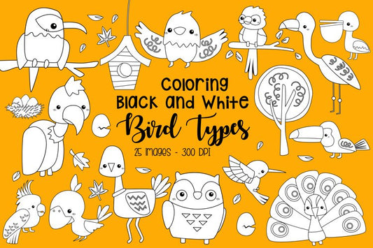 Black and White Coloring Bird Type