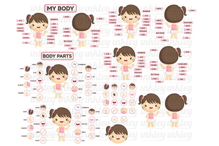 Girl Body Parts Clipart - Kids Body Part Chart Clip Art