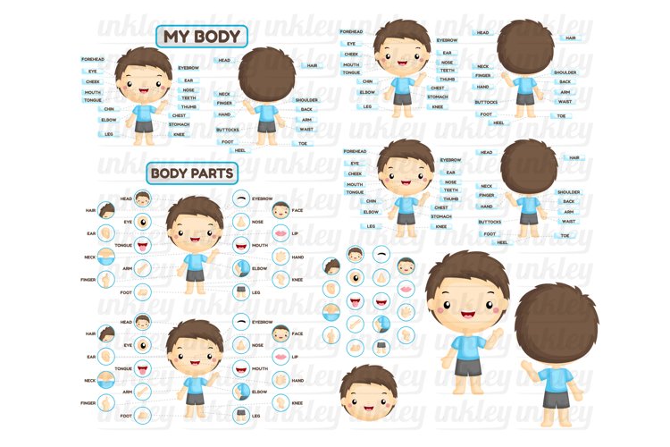 Boy Body Parts Clipart - Kids Body Part Chart Clip Art