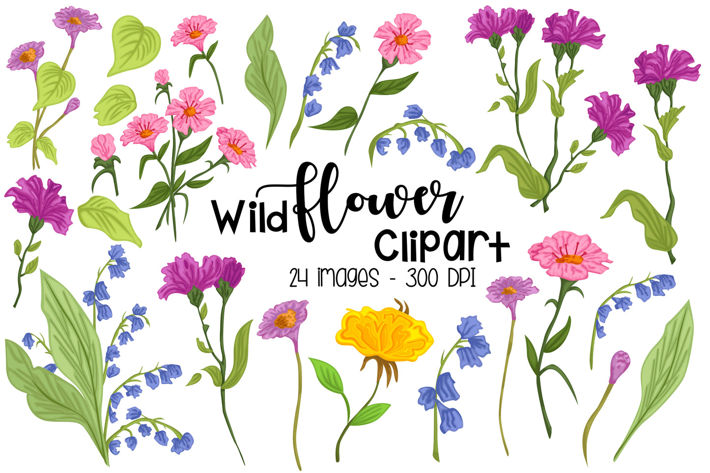 Wild Flower Clipart - Floral Clip Art