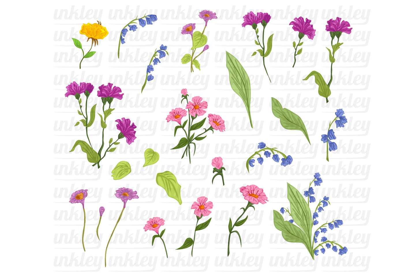 Wild Flower Clipart - Floral Clip Art